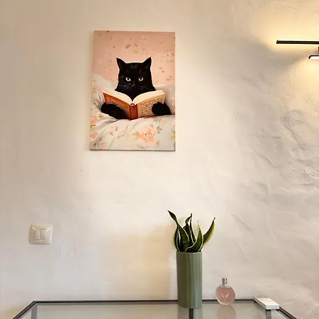 公寓 Casa Gatu Verdi