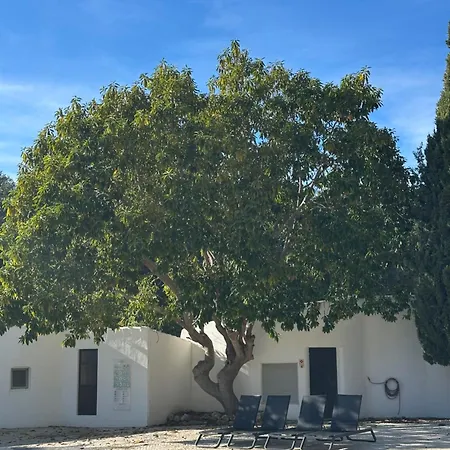 شقة Casa Gatu Verdi-garden With Pool