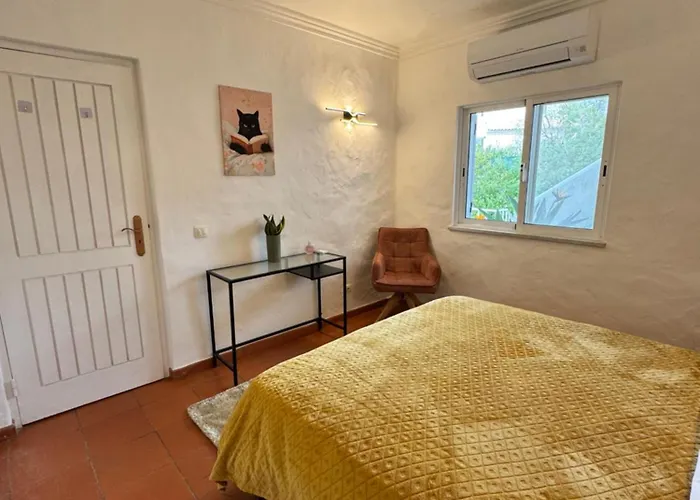 公寓 Casa Gatu Verdi-garden With Pool 卡武埃鲁