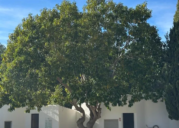 شقة Casa Gatu Verdi-garden With Pool