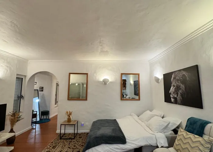 Casa Gatu Verdi-garden With Pool 公寓 *