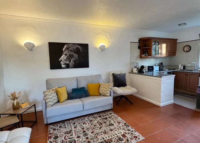 Casa Gatu Verdi-garden With Pool 公寓 *