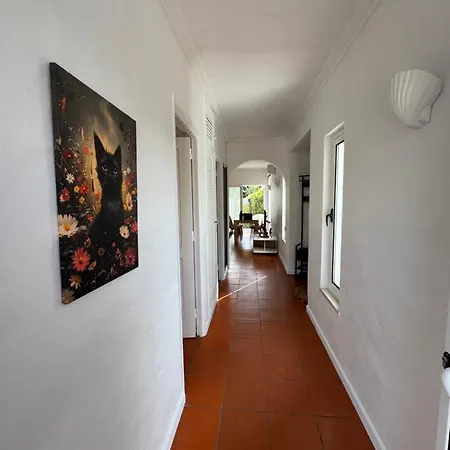 Casa Gatu Verdi-garden With Pool Carvoeiro (Lagoa)