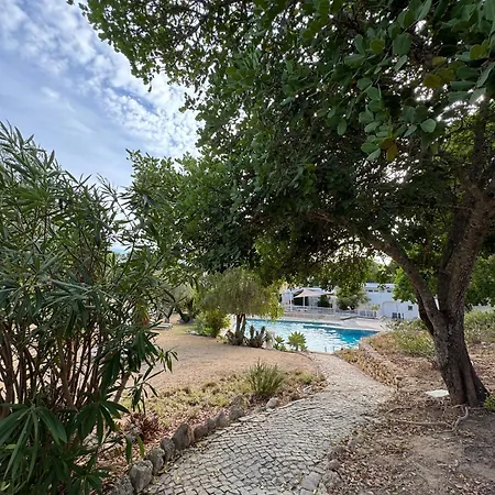 Casa Gatu Verdi-garden With Pool * Carvoeiro (Lagoa)