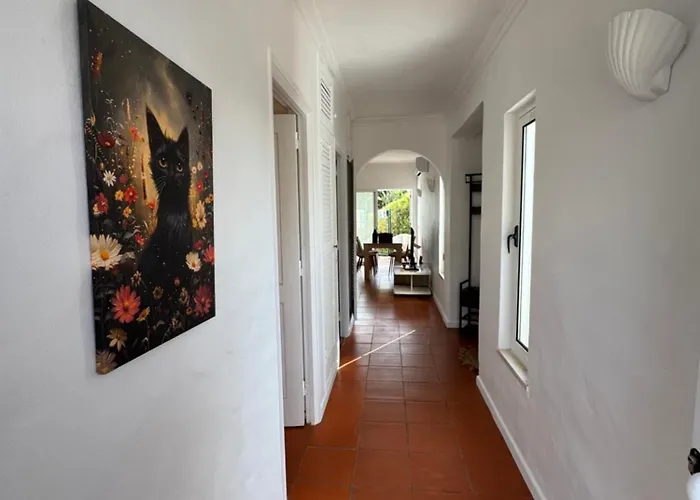Casa Gatu Verdi-garden With Pool Carvoeiro (Lagoa)